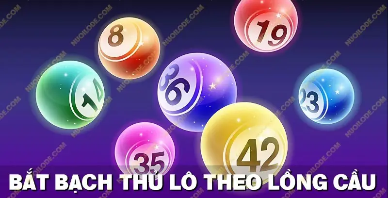 Bạch Thủ Lô VIP, Xiên 2 Miền Bắc, Lô VIP và xổ số 8 Cách hiểu và sử dụng thông tin