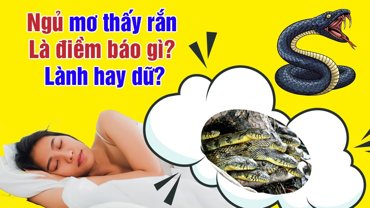 Giải Mã Giấc Mơ Thấy Rắn Ý Nghĩa Khi Bị Cắn, Gặp Hổ Mang Và Thấy Rắn Chết