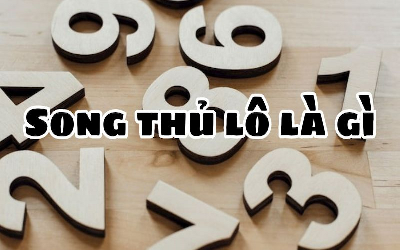 Song Thủ Lô, xổ số 8 và cách phân tích cặp số, thống kê xổ số, 4 Lô VIP